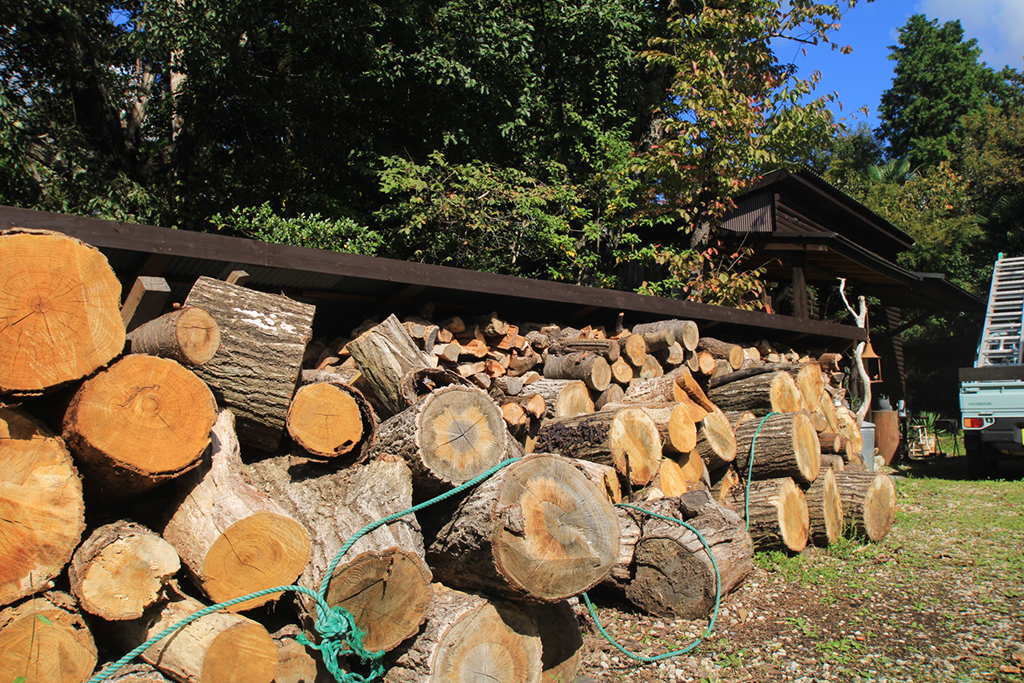 フリーコンセプションの小屋