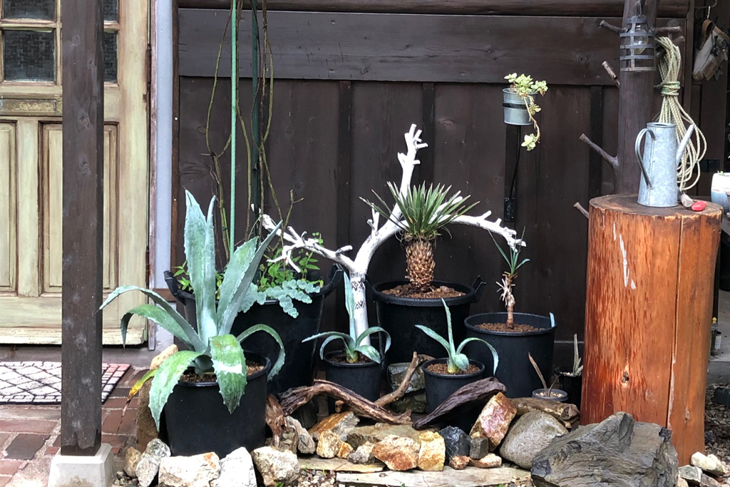 フリーコンセプションのガーデニング