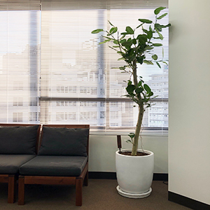 株式会社スタジオくとうてん