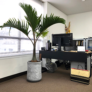 株式会社スタジオくとうてん