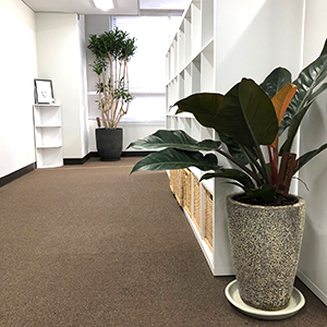 株式会社スタジオくとうてん