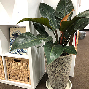 株式会社スタジオくとうてん