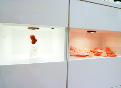 大阪府大東市ランジェリーshopSURE