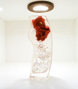 大阪府大東市ランジェリーshopSURE