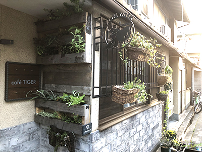 カフェタイガ植栽