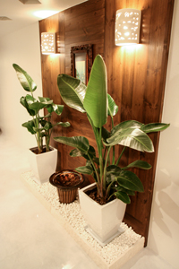 タイ式マッサージnewタイランド